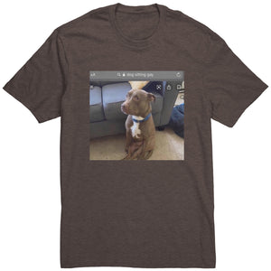 Dog Sitting Gay Shirt
