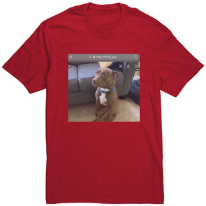 Dog Sitting Gay Shirt